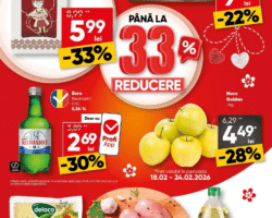 Catalog Profi oferte