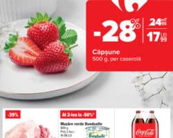 Catalog Carrefour